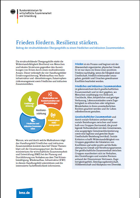 Cover: Frieden fördern, Resilienz stärken